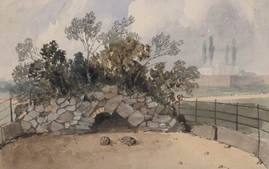 Tortoise Temples